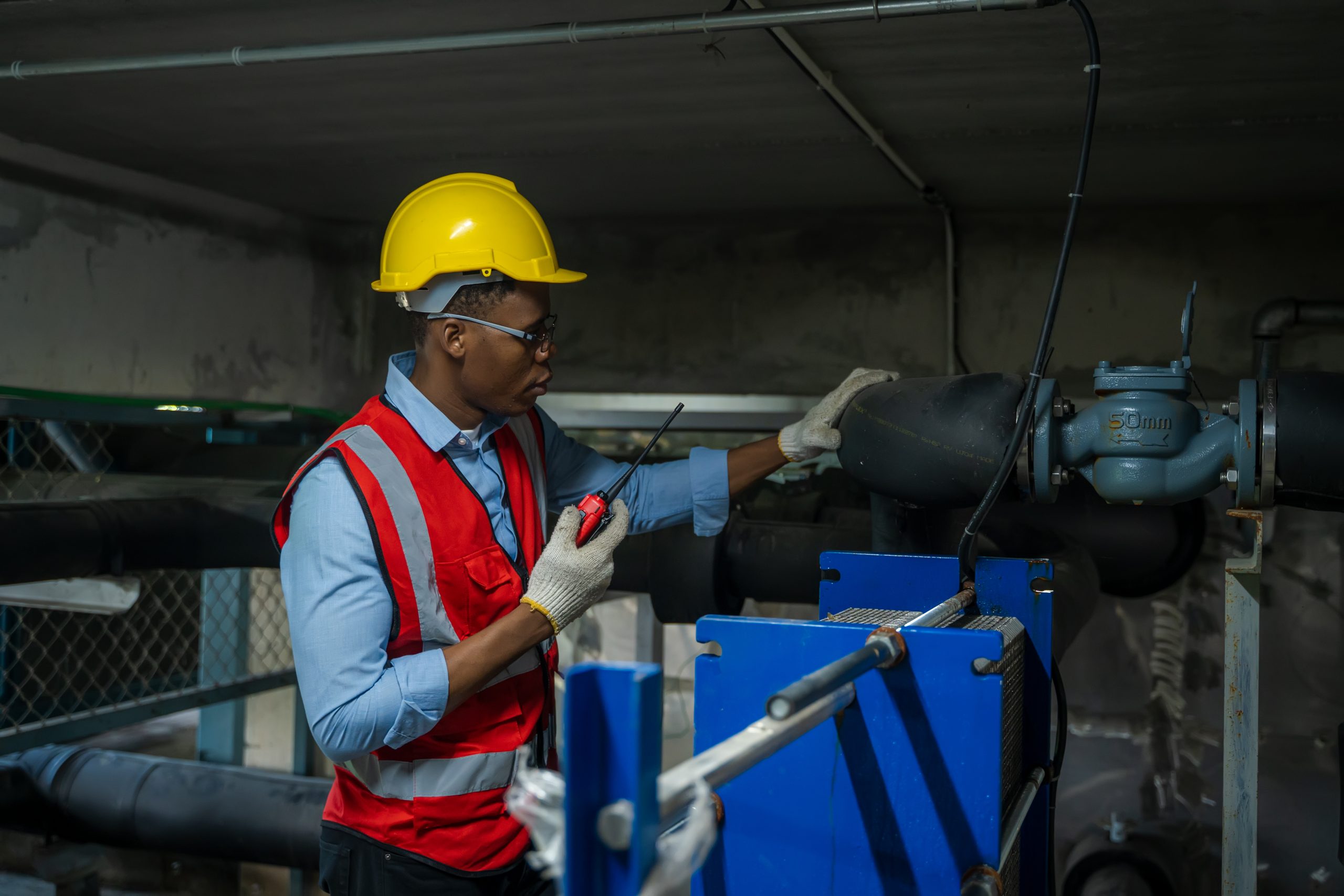 Valve Repair Training